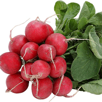 radishes